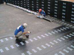Manpholl foto 4